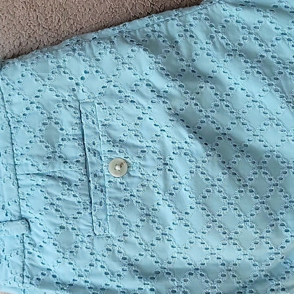 Banana Republic shorts
